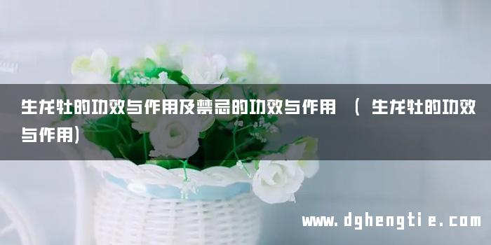 生龙牡的功效与作用及禁忌的功效与作用 (生龙牡的功效与作用)